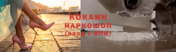 шишки Беломорск