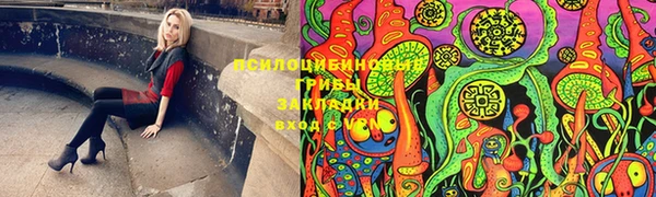шишки Беломорск