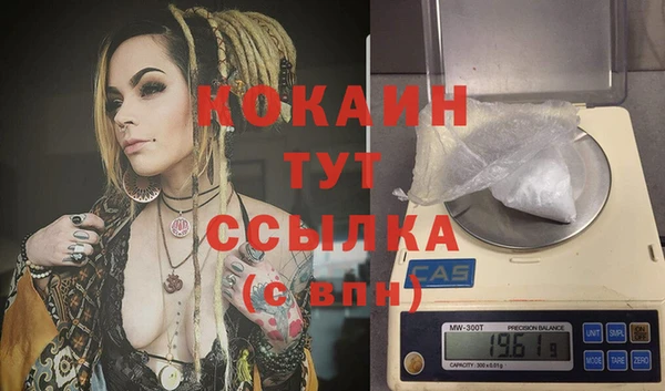 шишки Беломорск