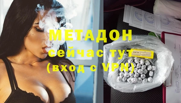 шишки Беломорск